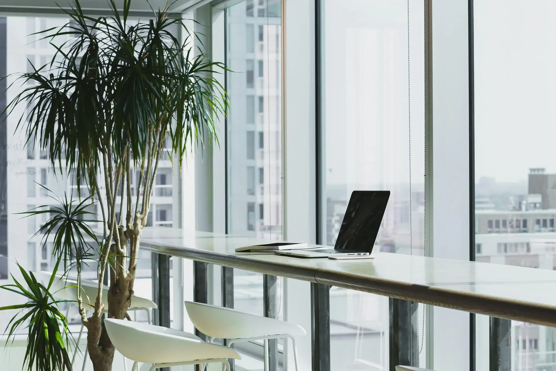 Genesis-Wasser_Office_Yucca_Palme_Berlin